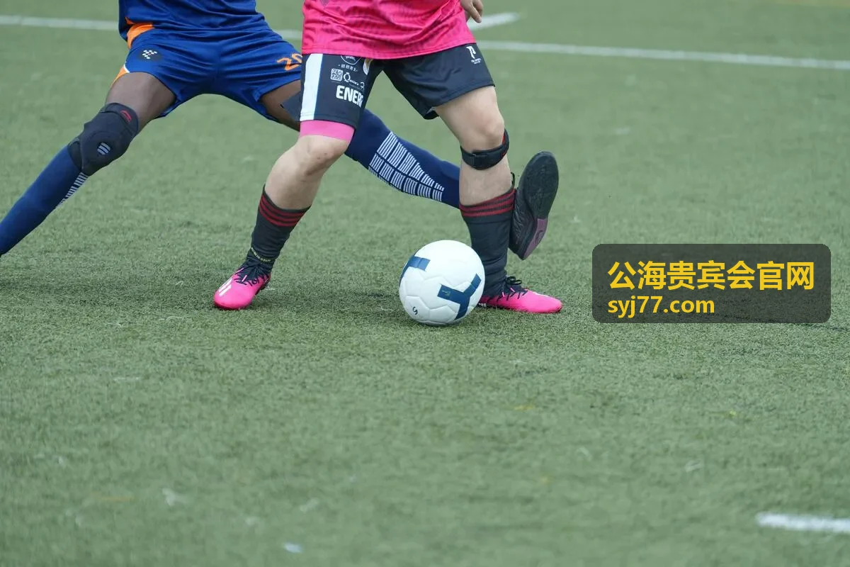 公海贵宾会高端服务
